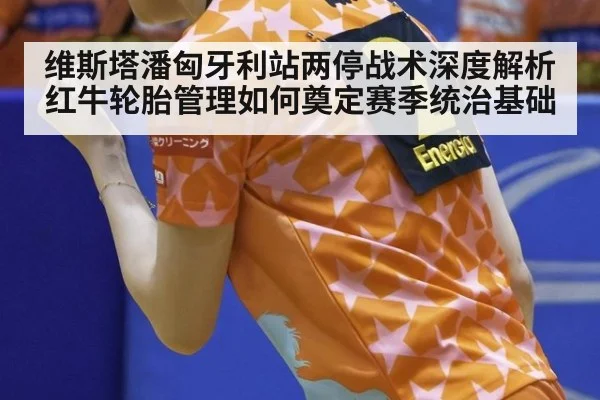 维斯塔潘匈牙利站两停战术深度解析 红牛轮胎管理如何奠定赛季统治基础
