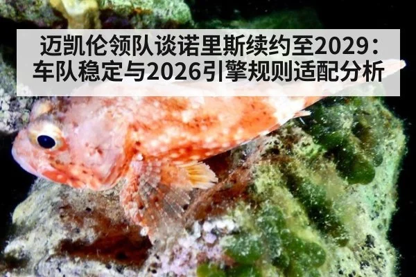 迈凯伦领队谈诺里斯续约至2029:车队稳定与2026引擎规则适配分析